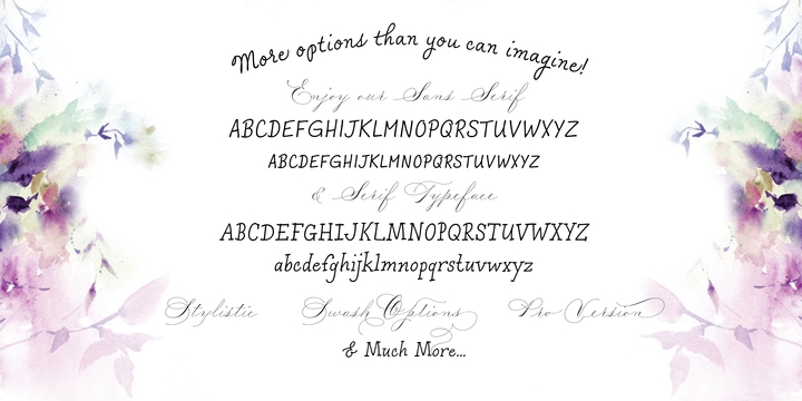 Пример шрифта Madison Street Script
